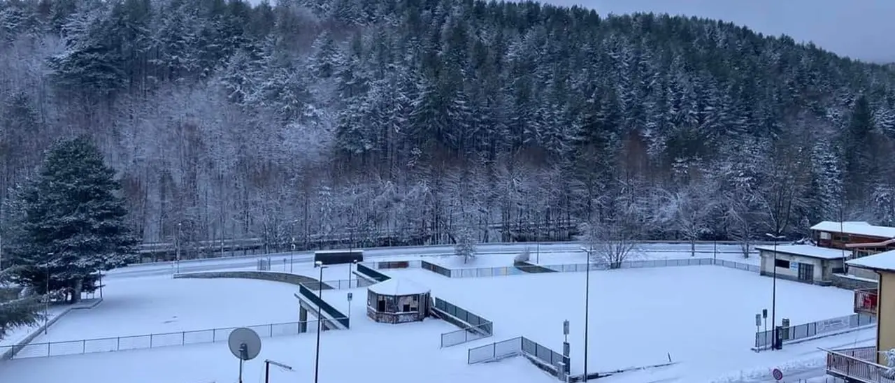 Neve in Calabria, i territori della Sila coperti di bianco: precipitazioni sopra gli 800 metri