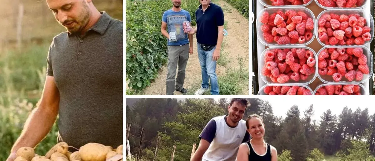 Da Londra alla Sila per riprendere le redini dell’azienda agricola di famiglia: «I primi anni pensavo di non farcela»