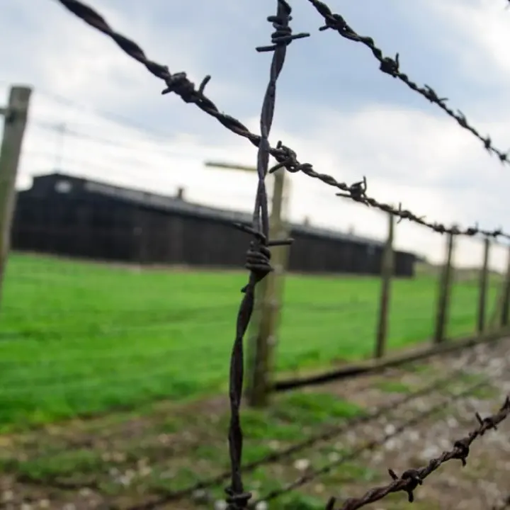 Cosenza, al liceo classico Telesio due giorni di incontri per coltivare la memoria della Shoah