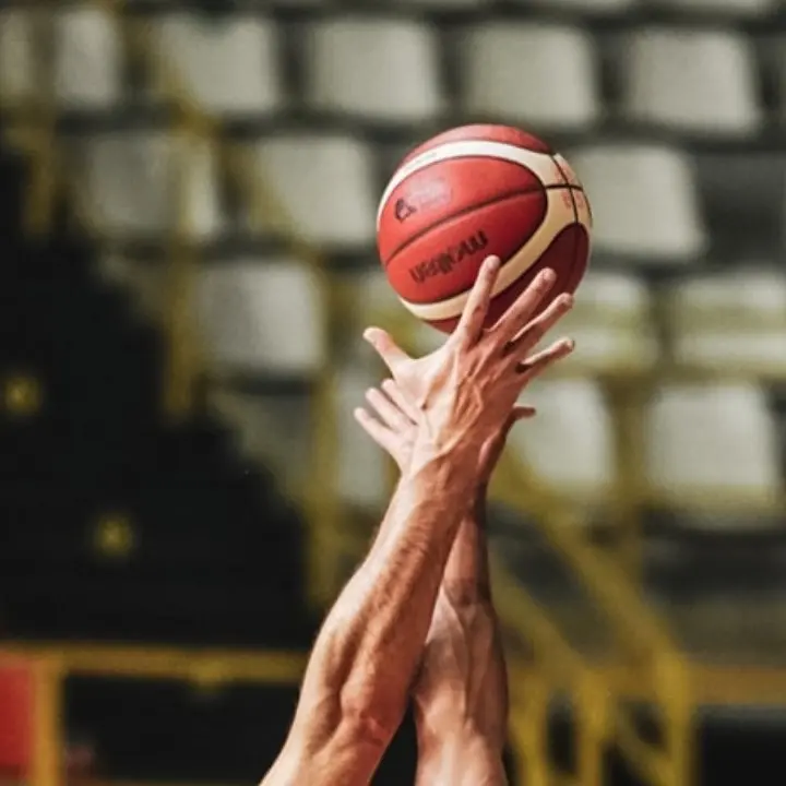 Viola Basket, fra futuro e mercato: il punto sulla situazione neroarancio