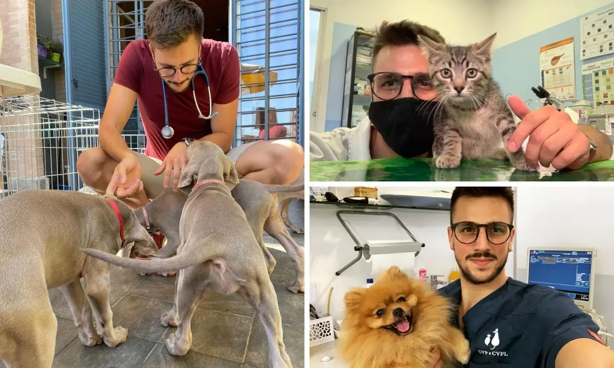 «Non esistono cani cattivi, solo cattivi padroni», parla il veterinario di origini calabresi star dei social