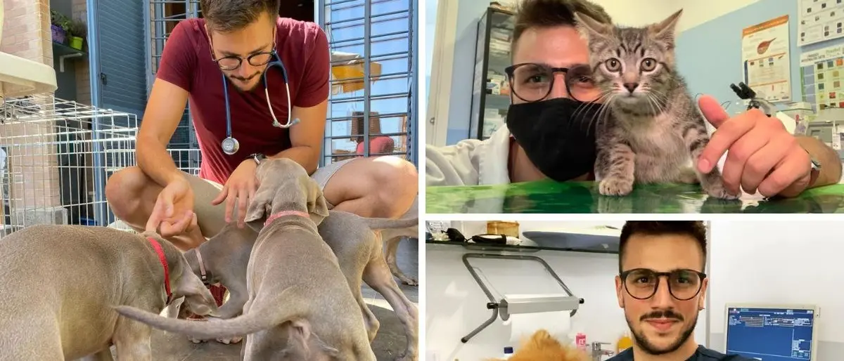 «Non esistono cani cattivi, solo cattivi padroni», parla il veterinario di origini calabresi star dei social