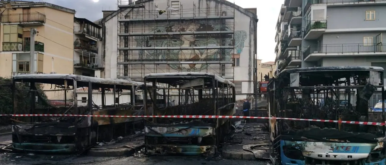 Escalation criminale nell’alto Tirreno cosentino, deputati M5s: «Intervenga il Governo»