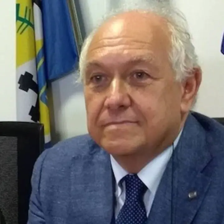 Francescantonio Stillitani ricoverato per un malore, il fratello Emanuele si difende davanti al gip e Anastasi non risponde