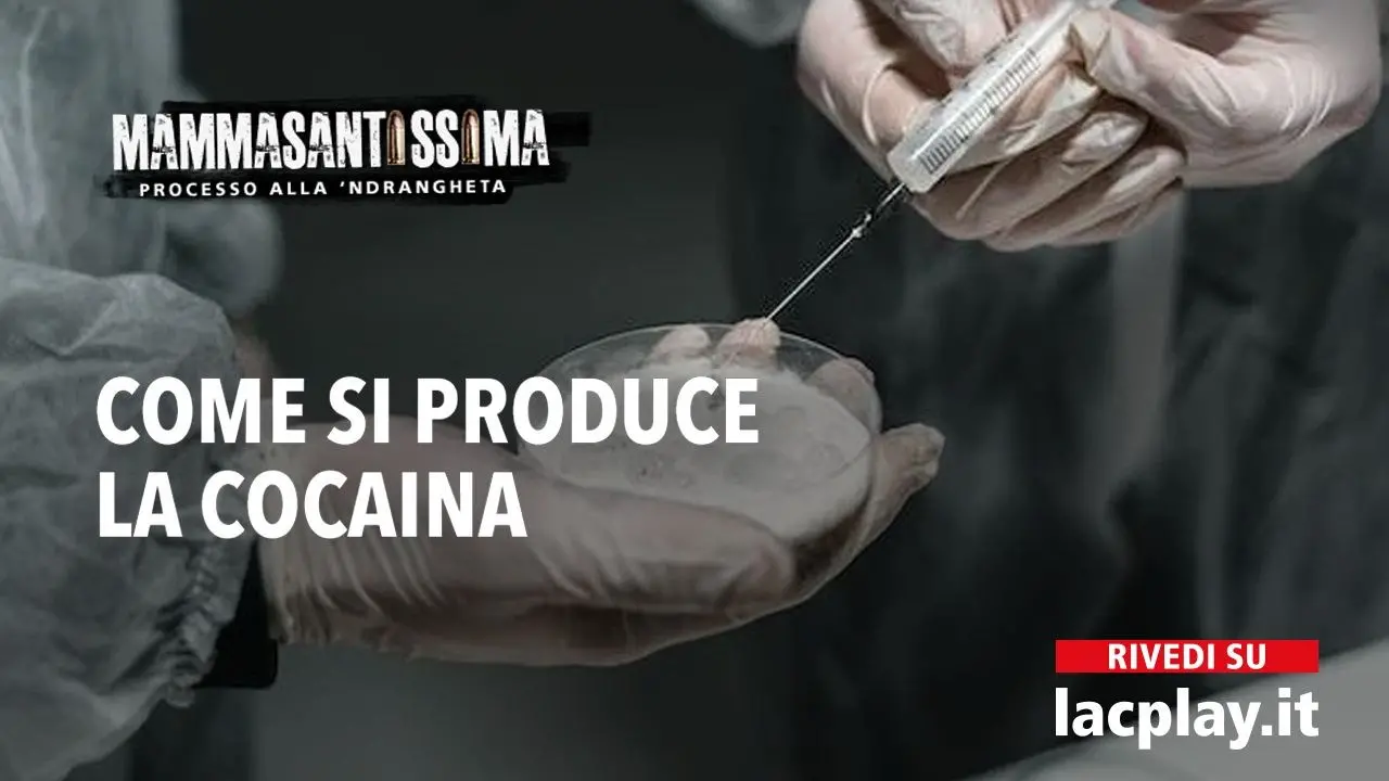 I narcos fanno ricca la ‘ndrangheta, così si produce la coca nelle “cucine” colombiane: ecco il VIDEO