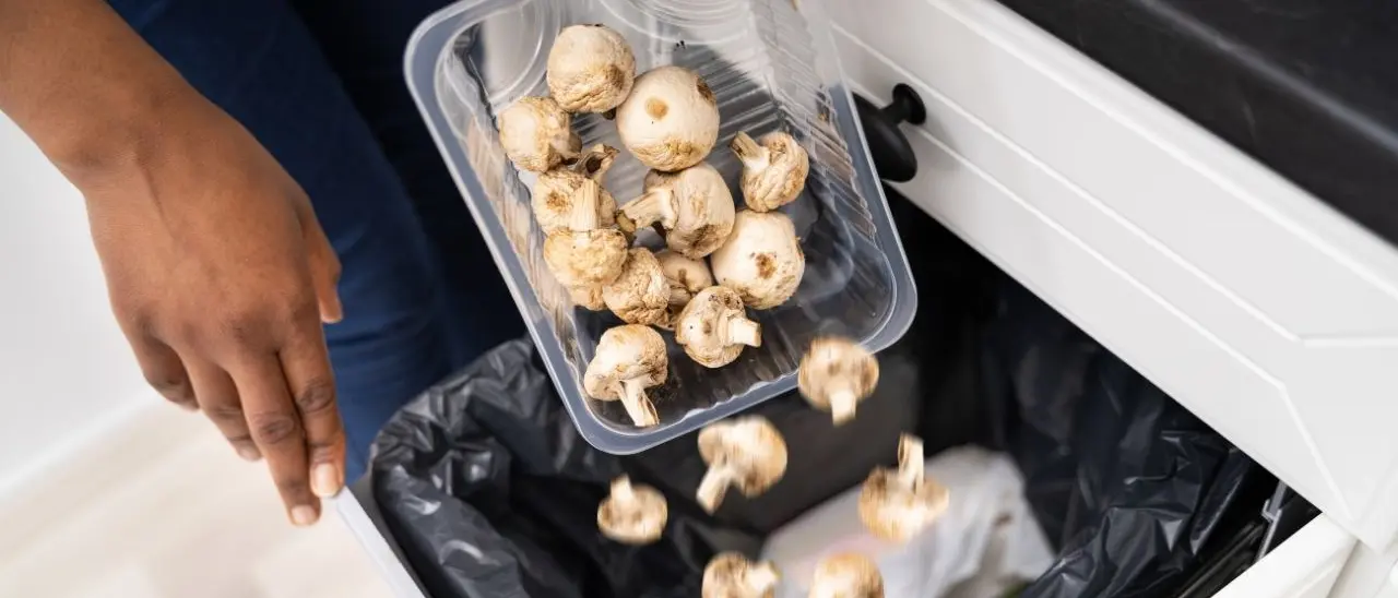 In Calabria cibo per 200 milioni finisce nella spazzatura ogni anno: la giornata contro lo spreco alimentare