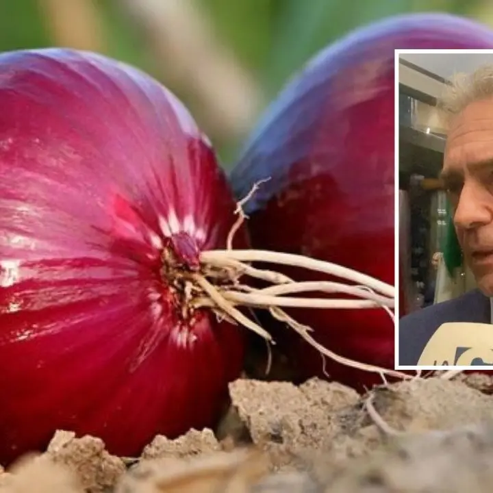 Prodotti ortofrutticoli calabresi alla Fruit Logistica a Berlino, Gallo: «Offriremo al mondo le nostre eccellenze»
