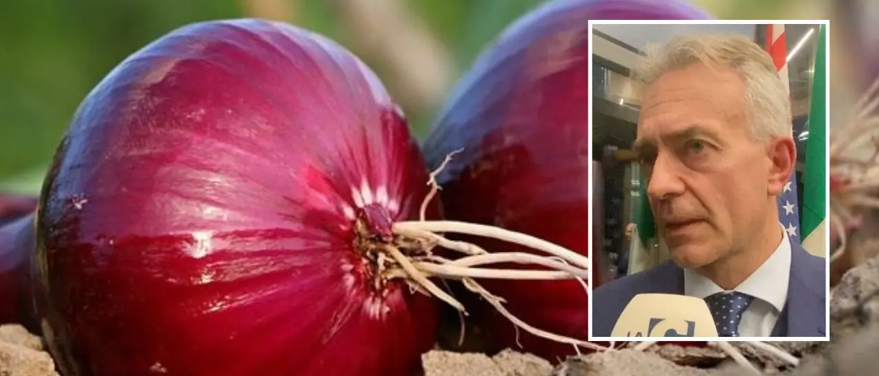 Prodotti ortofrutticoli calabresi alla Fruit Logistica a Berlino, Gallo: «Offriremo al mondo le nostre eccellenze»