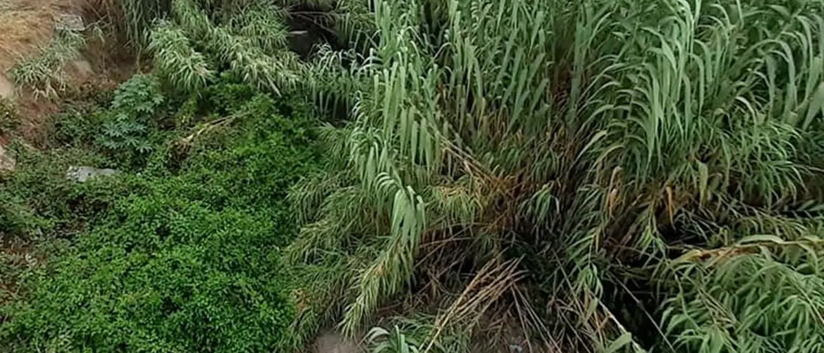 Lamezia, 200mila euro per la messa in sicurezza del torrente Turrina