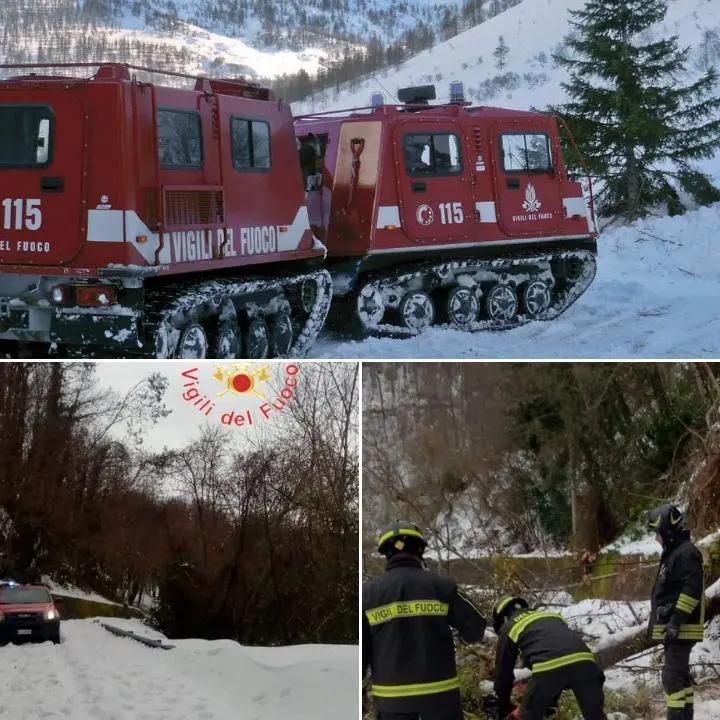 Alberi caduti sotto il peso della neve e aziende agricole isolate a Cardinale, intervengono i vigili del fuoco