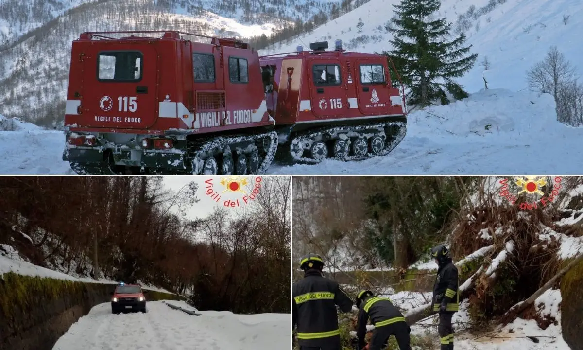 Alberi caduti sotto il peso della neve e aziende agricole isolate a Cardinale, intervengono i vigili del fuoco