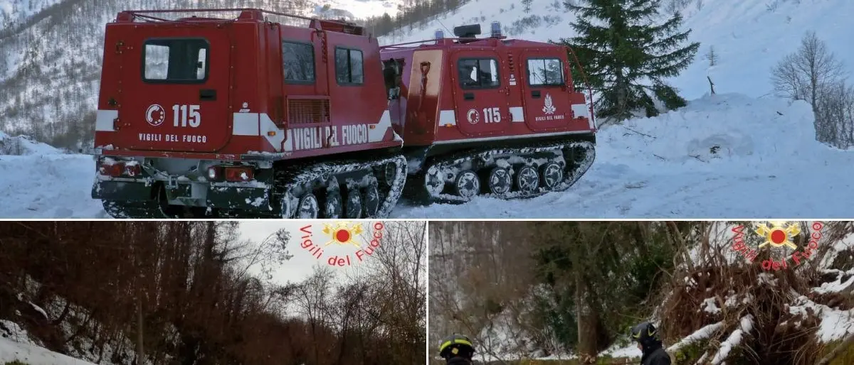 Alberi caduti sotto il peso della neve e aziende agricole isolate a Cardinale, intervengono i vigili del fuoco