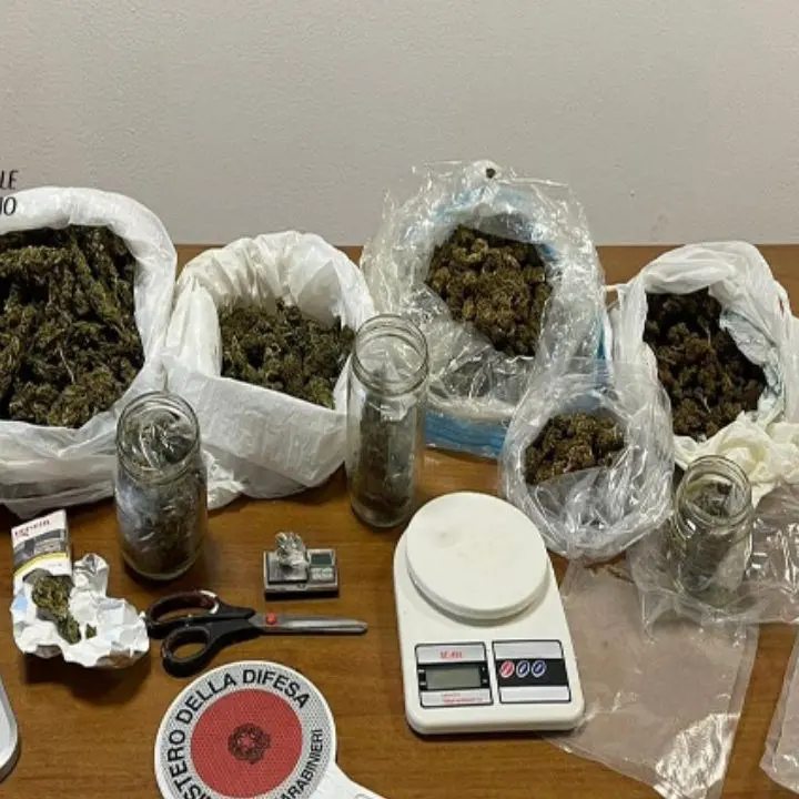 Nascondeva in casa più di un chilo di marijuana, arrestato un uomo a Crosia