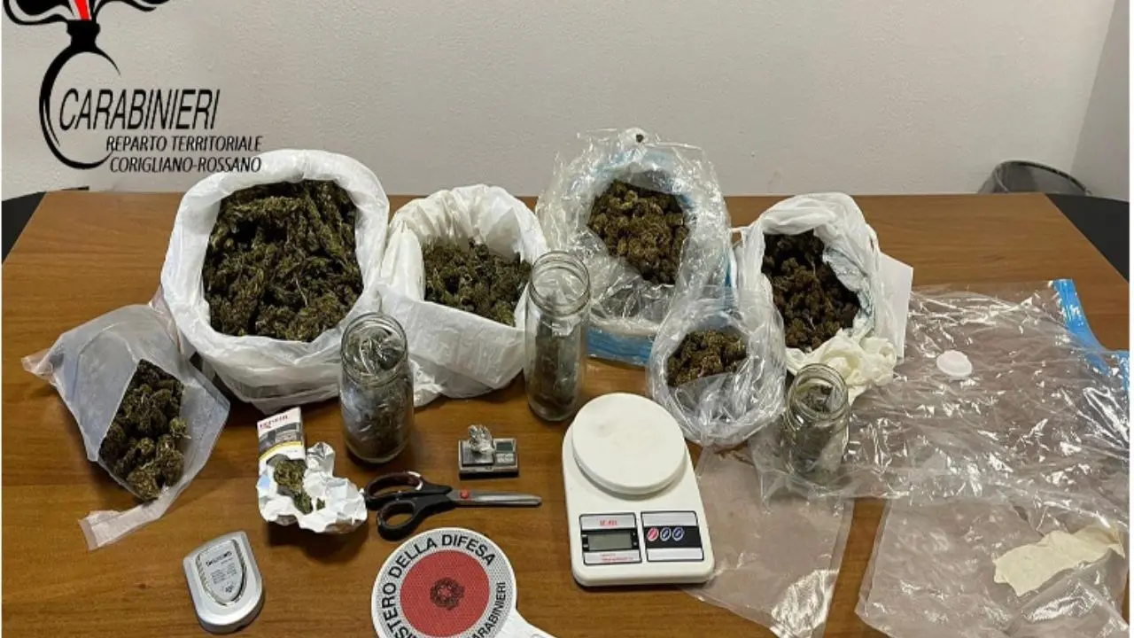 Nascondeva in casa più di un chilo di marijuana, arrestato un uomo a Crosia