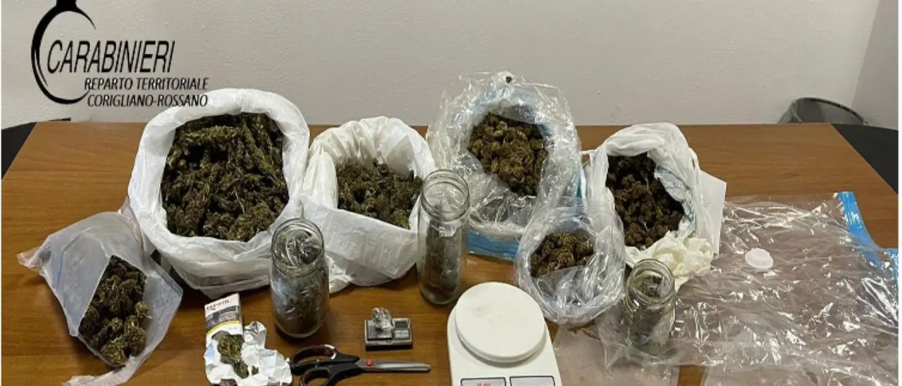 Nascondeva in casa più di un chilo di marijuana, arrestato un uomo a Crosia