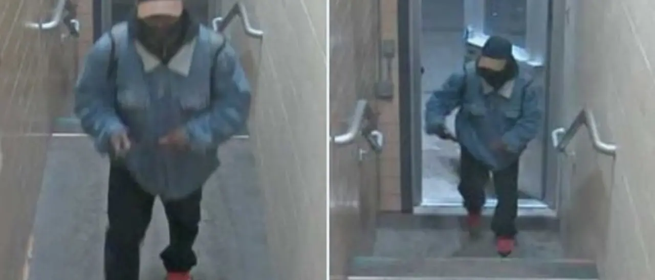 Usa, sparatoria in campus universitario: tre morti e cinque feriti