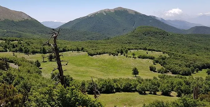 Parco nazionale del Pollino, dopo la decadenza di Pappaterra la Basilicata vuole la presidenza