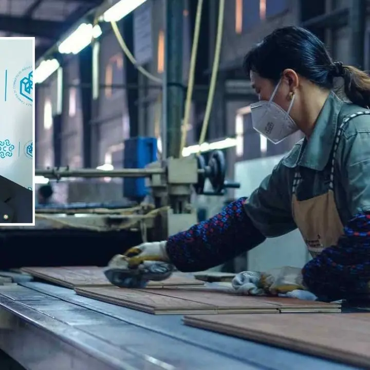 AAA cercasi operai specializzati, il presidente di Confcommercio Calabria: «Investire negli istituti tecnici»