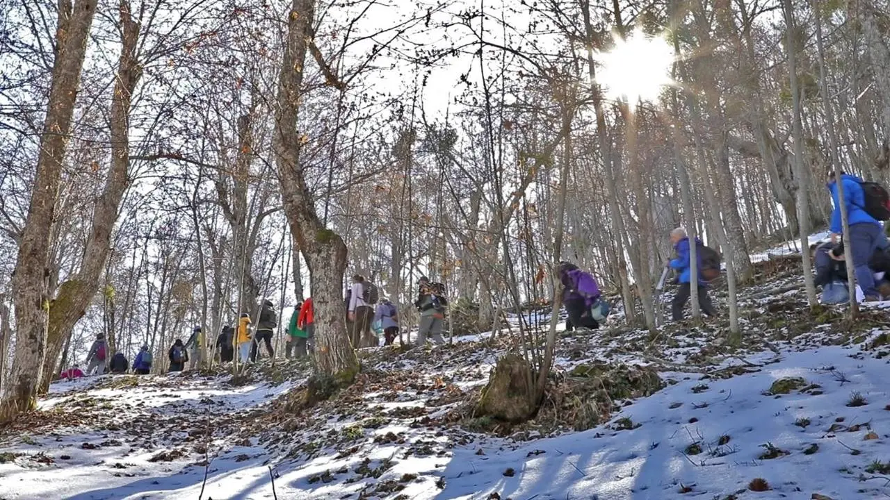 Venti chilometri per tutelare i castagneti secolari di Serrastretta, torna questa sera LaC Storie