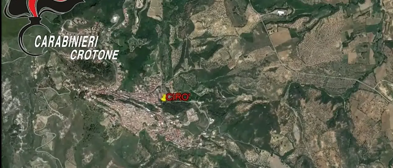 Locale Farao-Marincola di Cirò, nuove leve e veterani insieme per dominare il territorio: la nuova struttura del clan