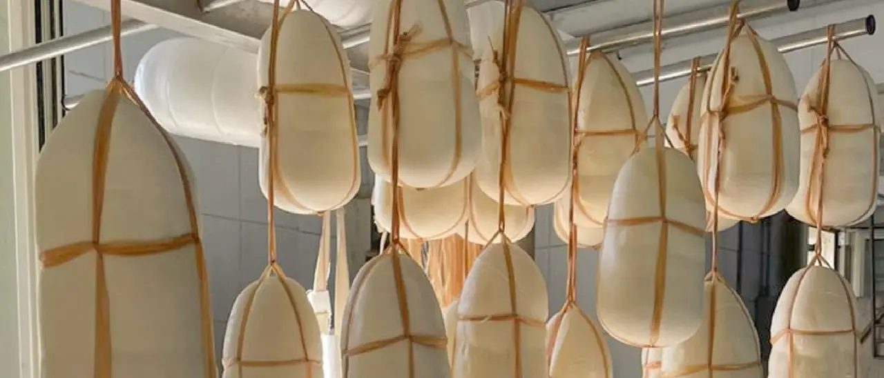 Il caciocavallo silano conquista il mondo: è tra i 50 formaggi più apprezzati su scala internazionale