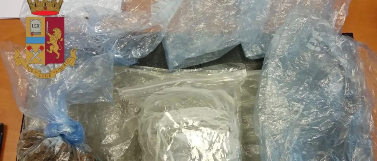 Pizzo, marijuana pronta alla vendita nascosta in un sottoscala: un arresto