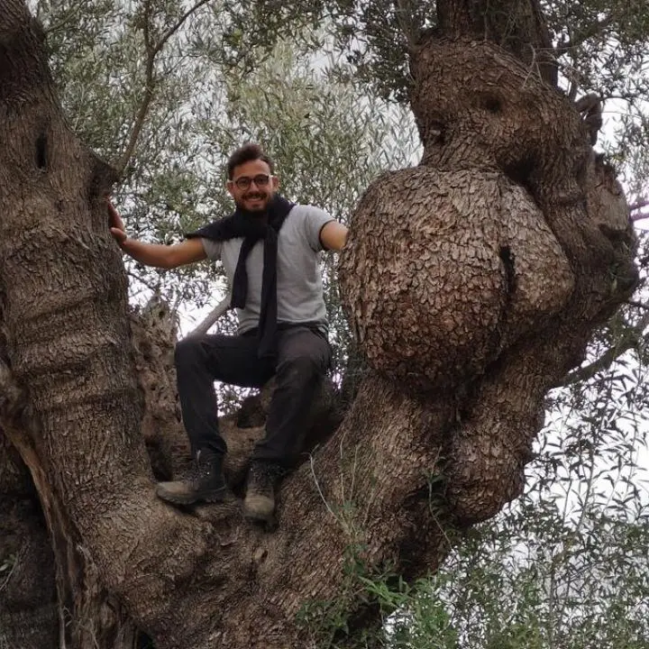 Olio biologico e tanta passione: «Ecco perché sono tornato in Calabria, ora sogno di rendere la mia azienda sostenibile»