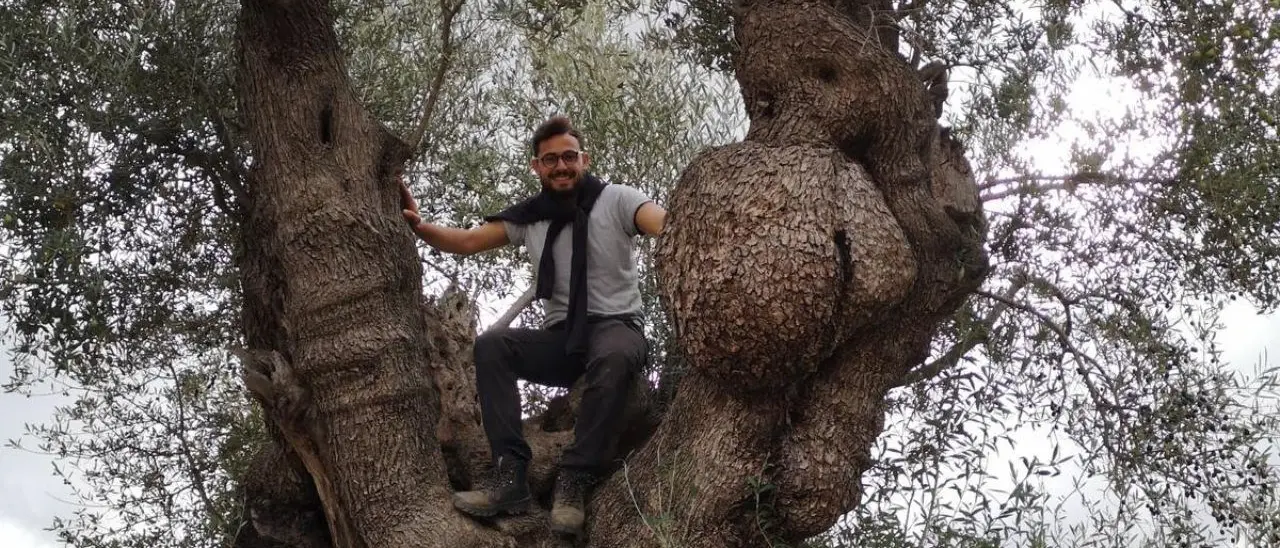 Olio biologico e tanta passione: «Ecco perché sono tornato in Calabria, ora sogno di rendere la mia azienda sostenibile»