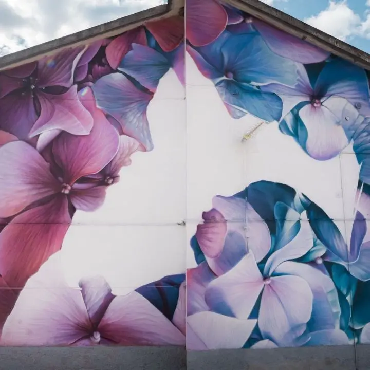 Amor Vincit Omnia, è un’esplosione di colori il murales che punta a riqualificare Girifalco