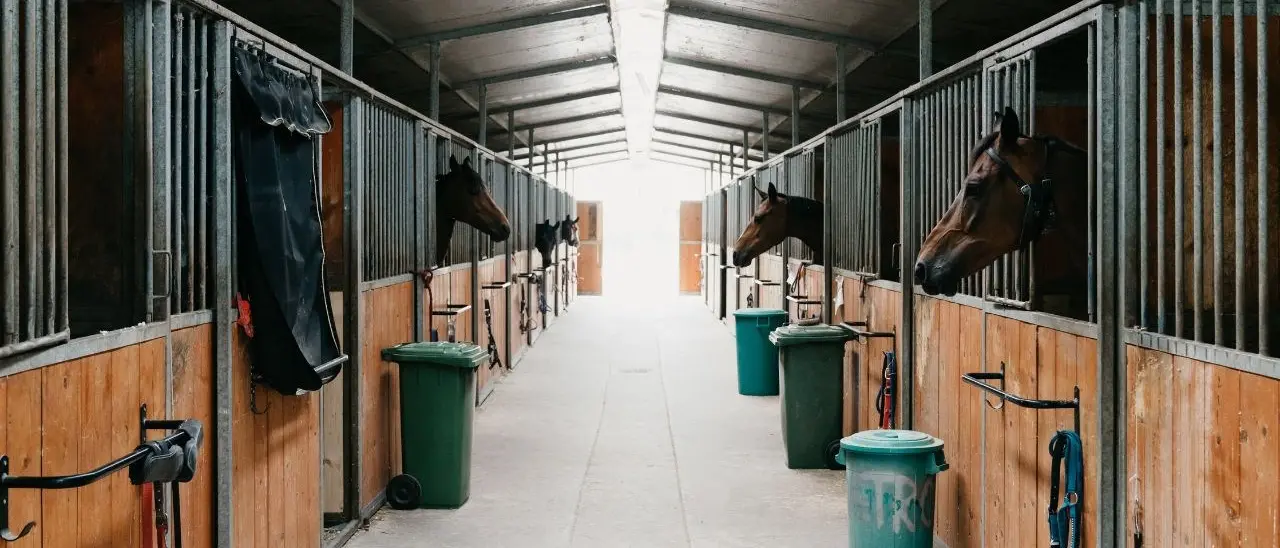 «I ciucci di Campo Calabro non si toccano»: la ’ndrangheta dietro le minacce all’imprenditore cosentino