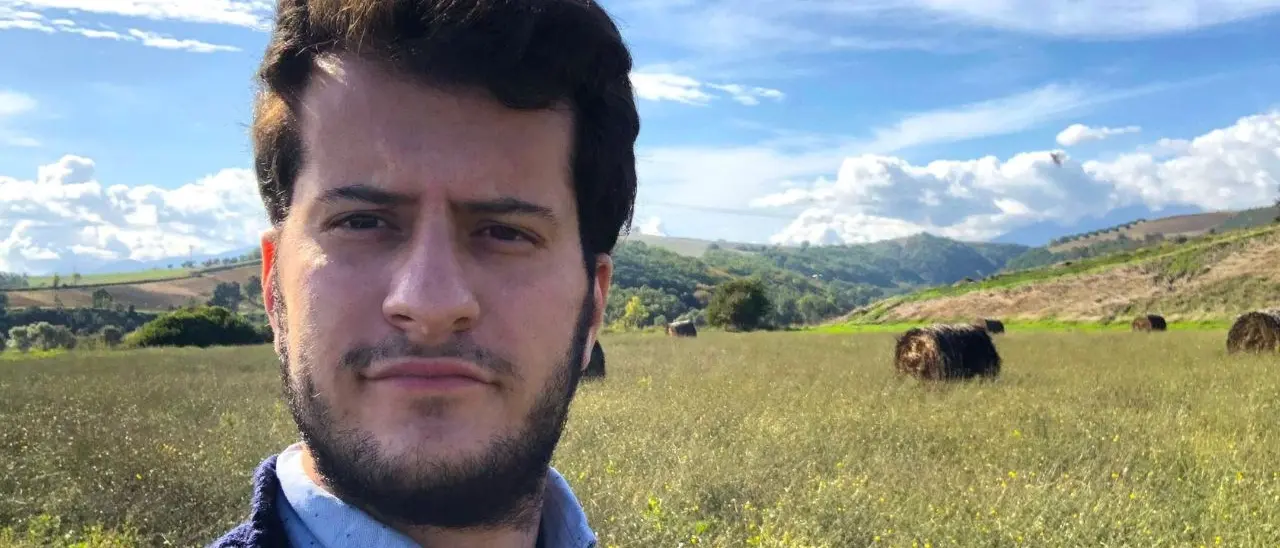 «Il tesoro di Alarico è qui», nel Cosentino l’azienda che valorizza l’oro di Calabria: l’olio