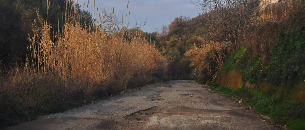 Paesi spopolati e spesso isolati, strade dissestate e campi abbandonati: è emergenza nell’entroterra Vibonese