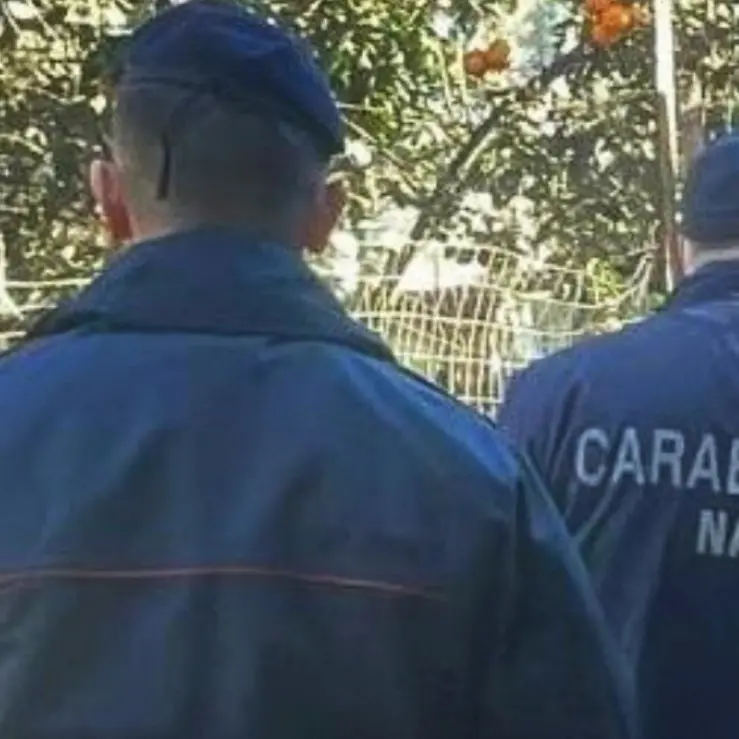 Carne senza etichette e mal conservata, chiuso un ristorante nel Crotonese