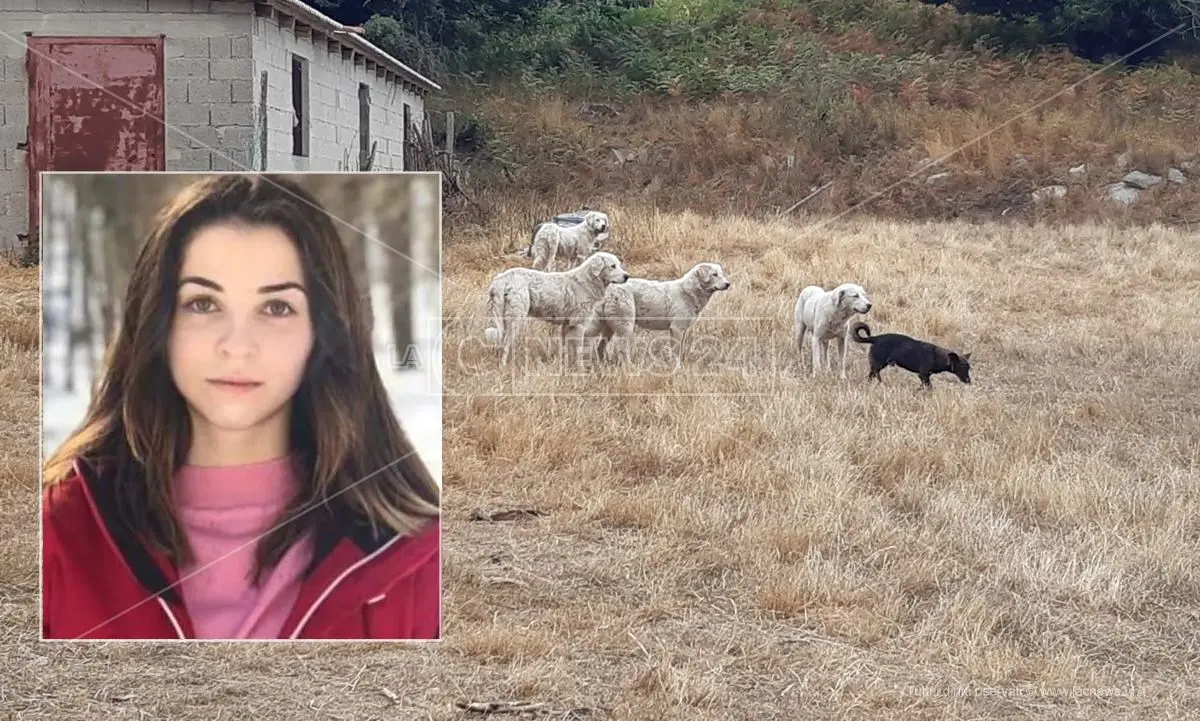 Giovane sbranata da un branco di cani a Satriano, chiesti 15 anni di carcere per il pastore Rossomanno