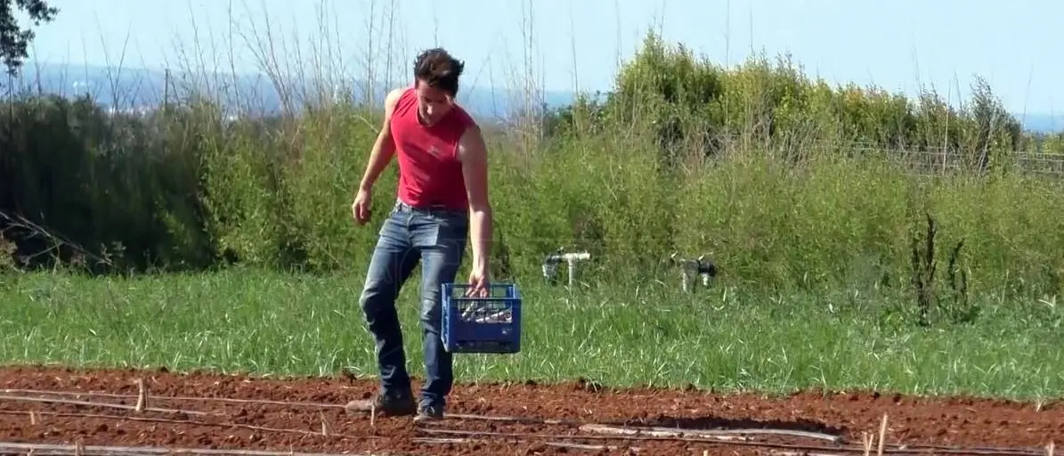 Cassano all’Ionio, rubati trattori e mezzi agricoli in un’azienda: indagini in corso