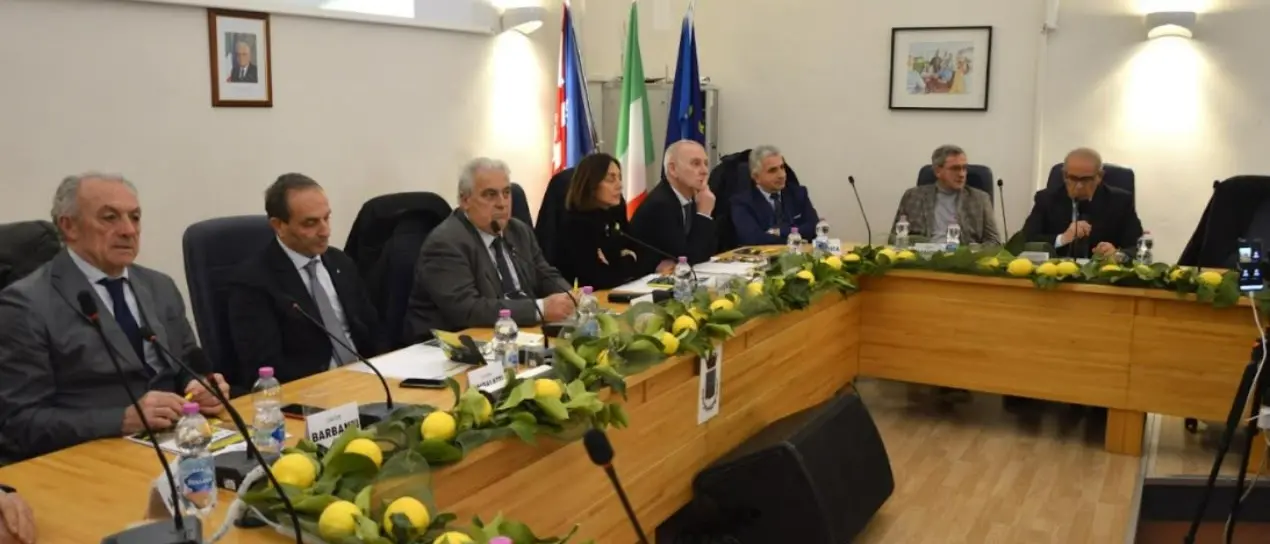 Rocca Imperiale celebra il limone igp, Gallo: «La chiave del successo? Puntare sulla qualità»