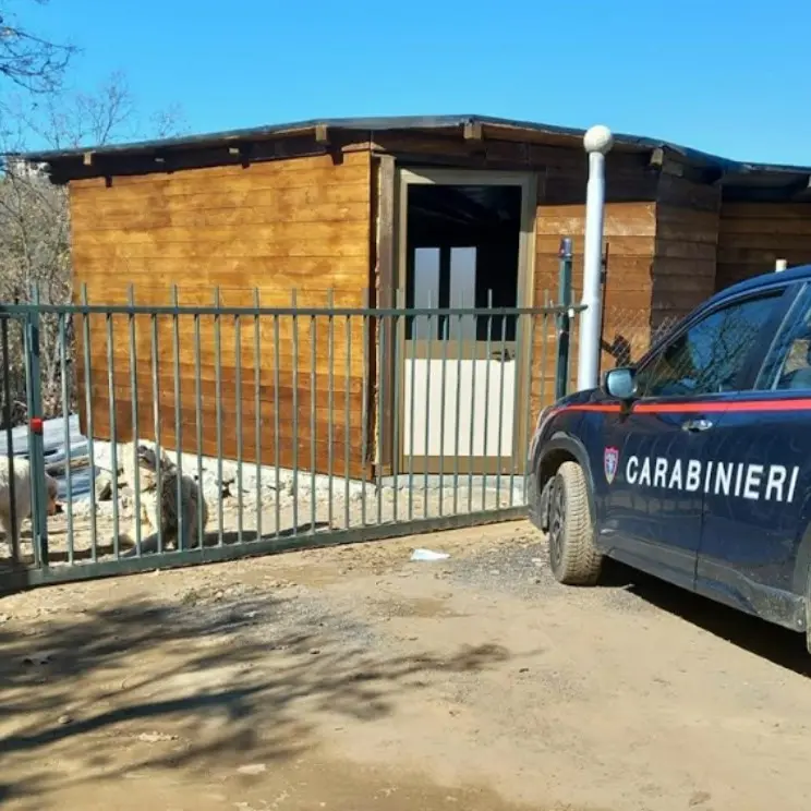 Sequestrato un manufatto abusivo a Casali del Manco, denunciato il proprietario