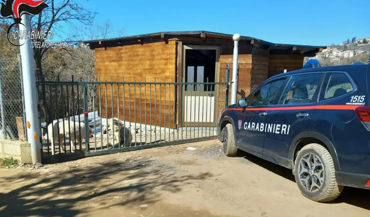 Sequestrato un manufatto abusivo a Casali del Manco, denunciato il proprietario