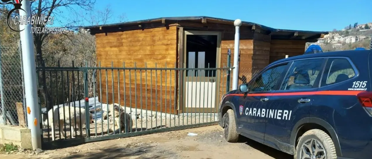 Sequestrato un manufatto abusivo a Casali del Manco, denunciato il proprietario