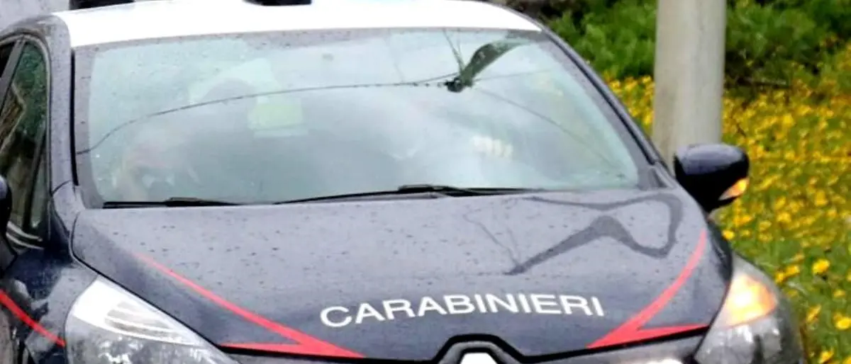 Drammatico omicidio nel Torinese: 23enne uccide la madre a martellate