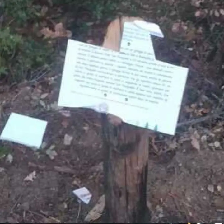 Vandali in azione a Sersale: danneggiato il giardino etnobotanico di Monte Crozze