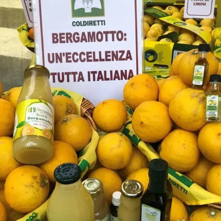 Villaggio Coldiretti a Cosenza: in Calabria il 90% della produzione mondiale di Bergamotto