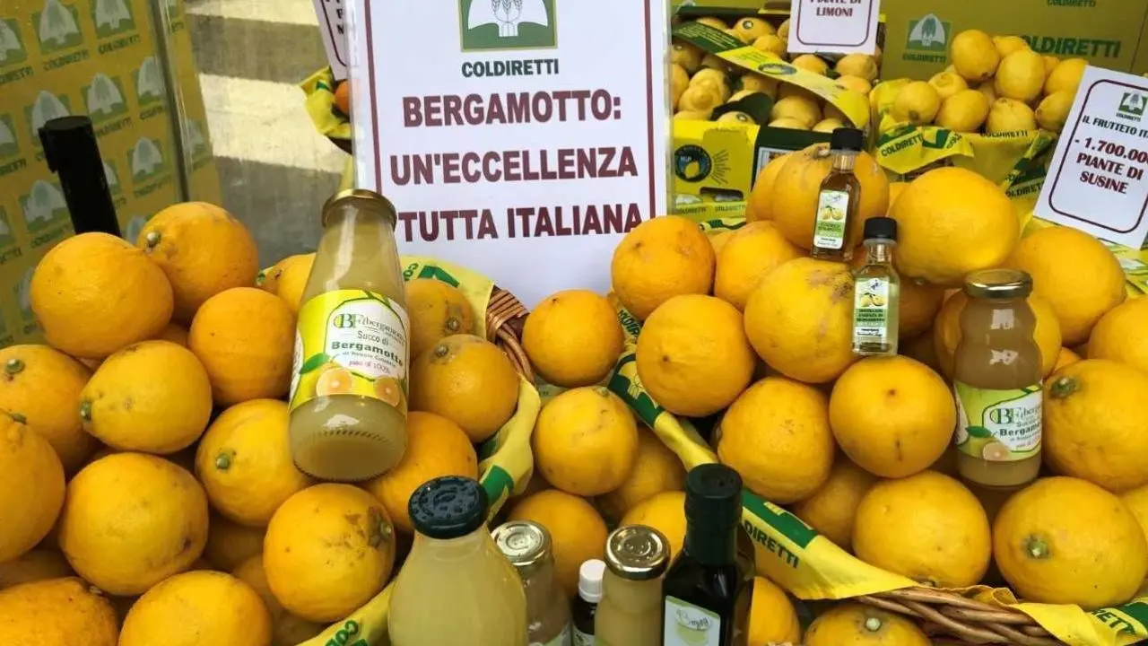 Villaggio Coldiretti a Cosenza: in Calabria il 90% della produzione mondiale di Bergamotto