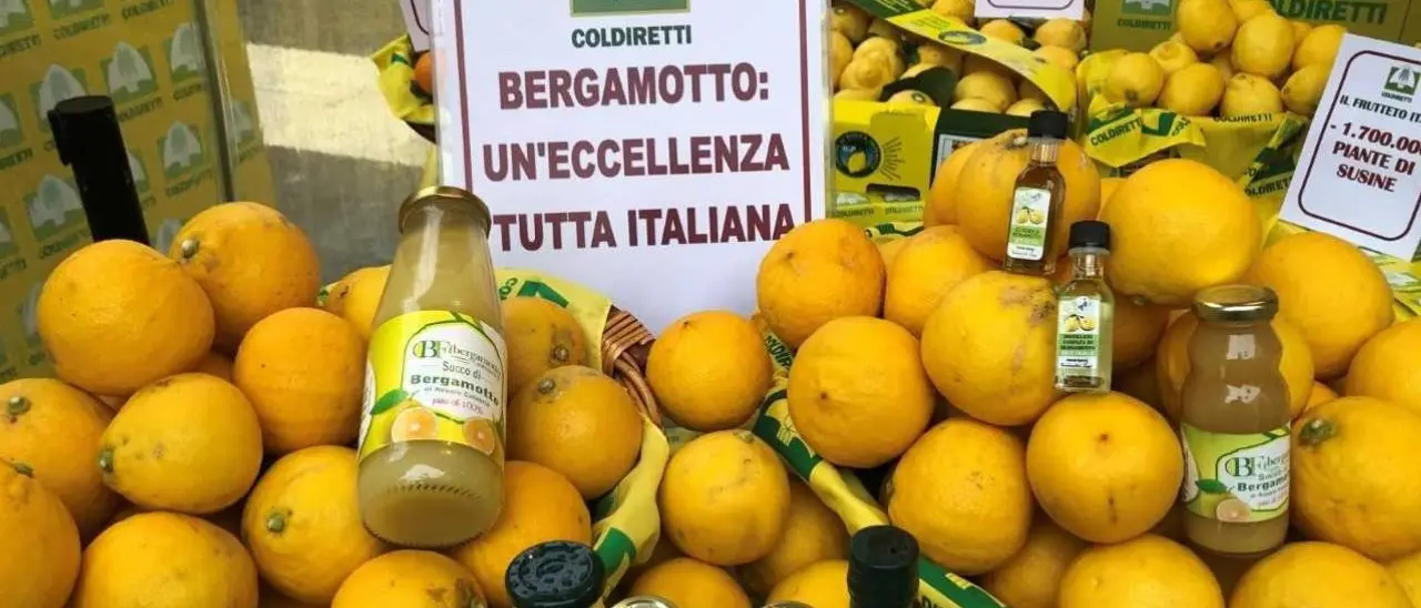 Villaggio Coldiretti a Cosenza: in Calabria il 90% della produzione mondiale di Bergamotto