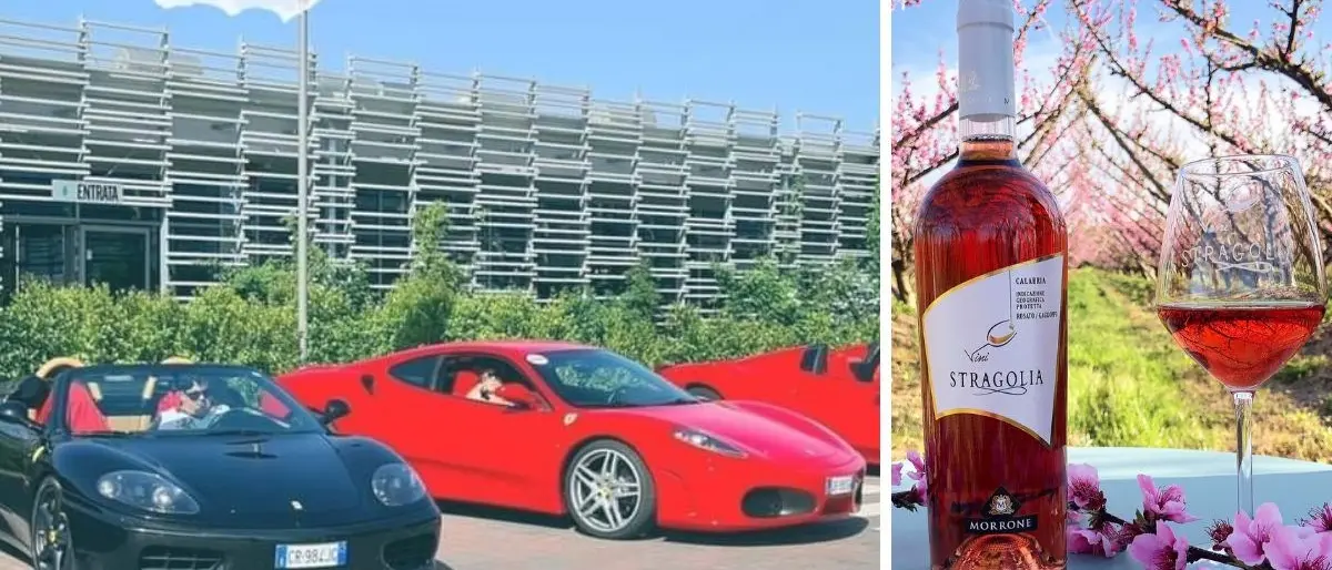 Il sodalizio tra Cantine Morrone e Club Ferrari Catanzaro prende forma: l’evento a Lamezia il 12 marzo