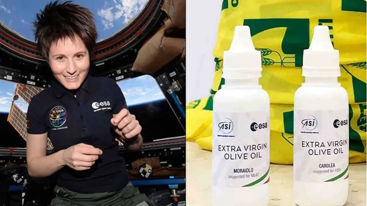 L’olio extravergine di oliva calabrese è... spaziale: integro il campione rientrato sulla Terra dopo sei mesi