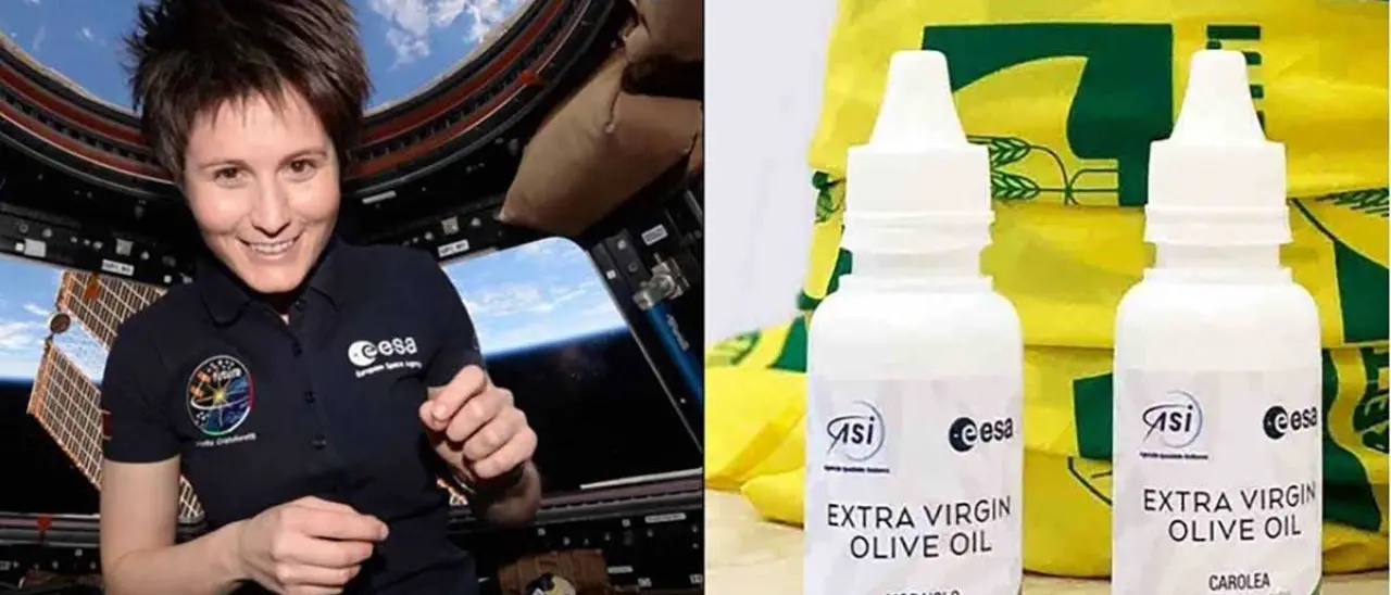 L’olio extravergine di oliva calabrese è... spaziale: integro il campione rientrato sulla Terra dopo sei mesi