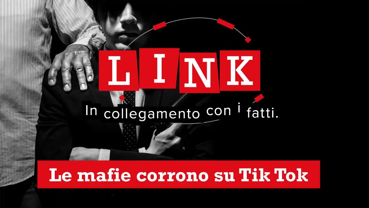 Le mafie corrono su Tik Tok, è il loro reality show. L’approfondimento questa sera a Link