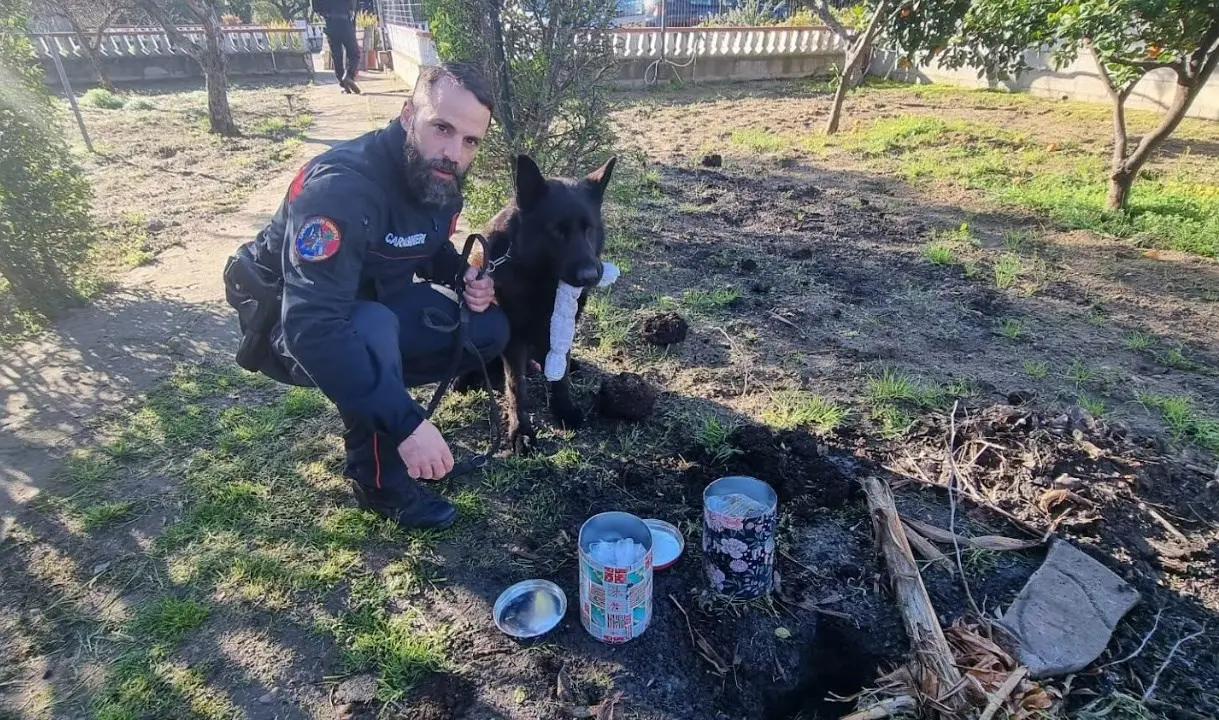 Sellia Marina, arrestato 20enne: nel giardino di casa nascondeva marijuana e hashish