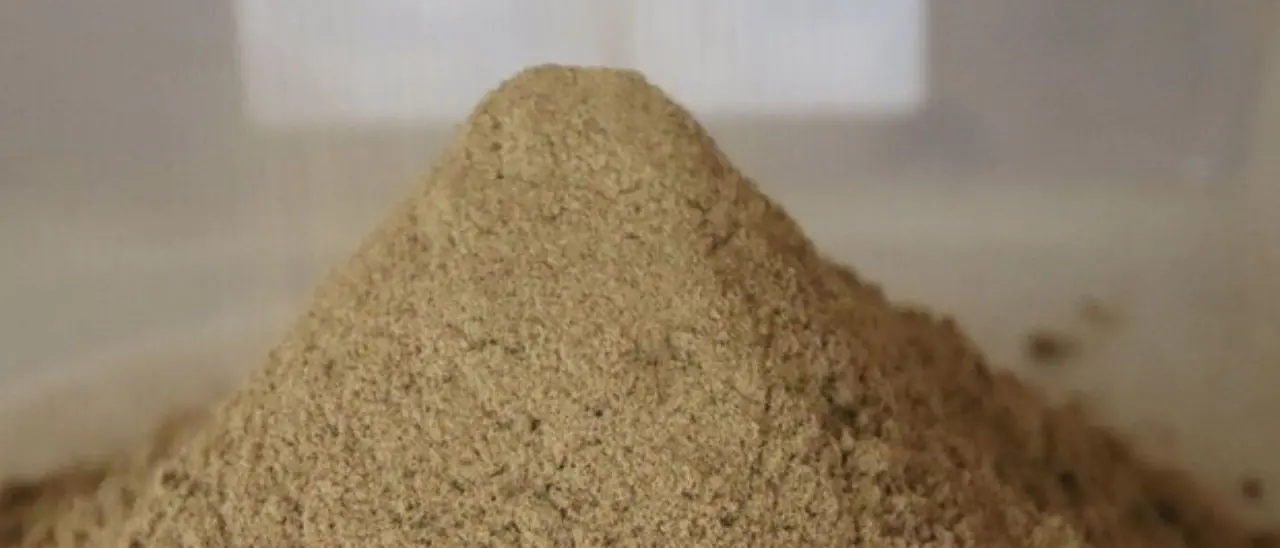 Farine di insetti, Lollobrigida: «Firmati quattro decreti per la vendita»